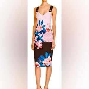 Ted Baker dress